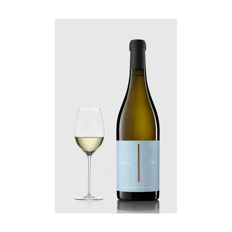 Nobu 1830 Pecorino 2023 – Vigna Madre