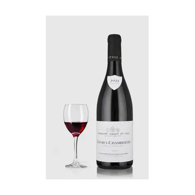 Gevrey Chambertin Léon Amiot 2021 – Gevrey Chambertin