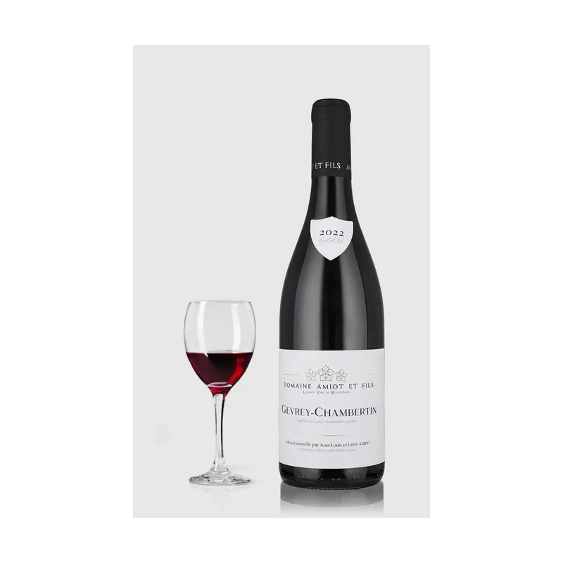 Gevrey Chambertin Léon Amiot 2021 – Gevrey Chambertin