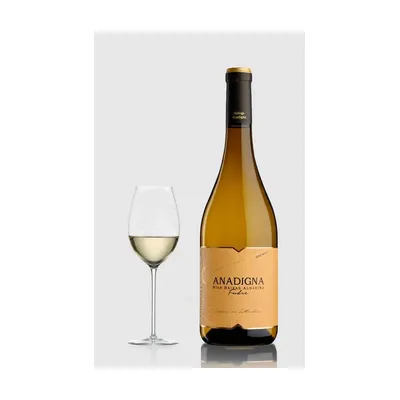 Bodegas Anadigna Fudre Albarino 2023 – Bodegas Anadigna