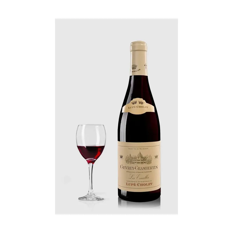 Lupé-Cholet Gevrey Chambertin Les Evocelles 2020 – Domaine Lupé-Cholet