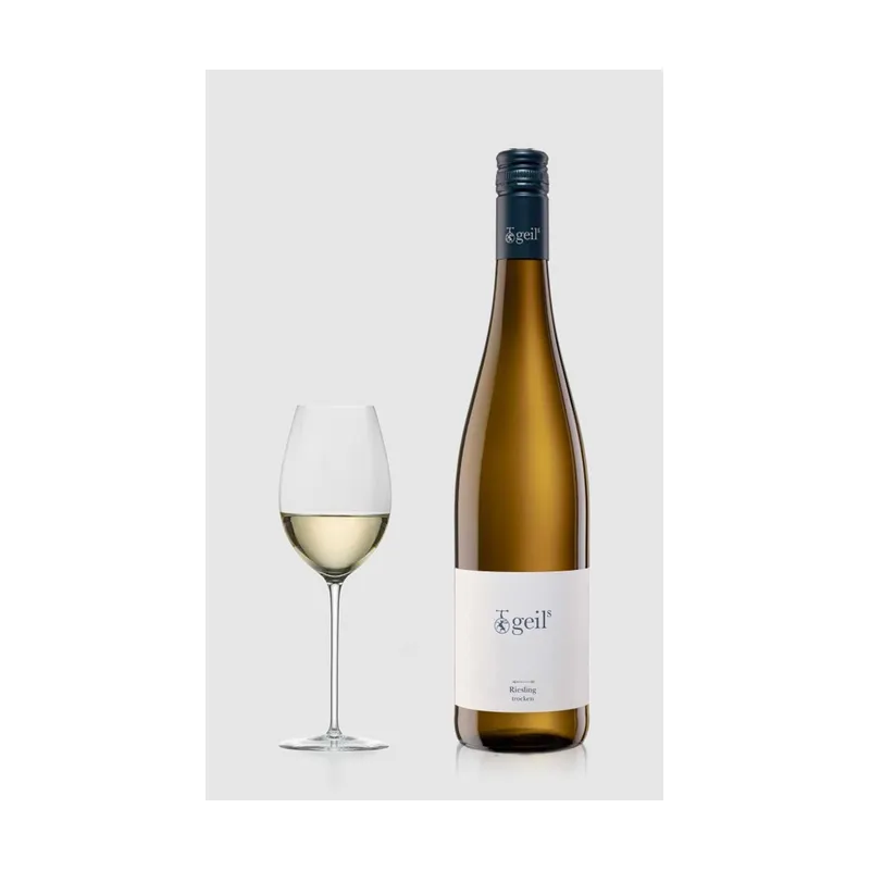 Geils Riesling 2024 Trocken Weingut Geils Rheinhessen – Weingut Geils