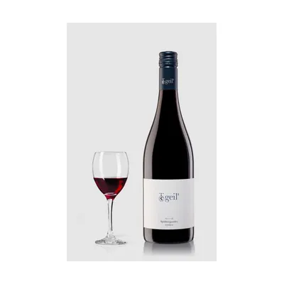 Weingut Geils Spätburgunder 2023 Trocken Rheinhessen – Weingut Geils
