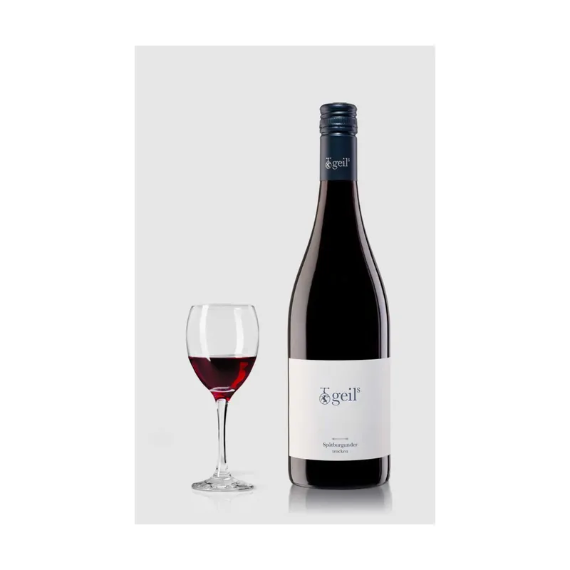 Weingut Geils Spätburgunder 2023 Trocken Rheinhessen – Weingut Geils