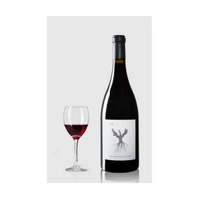 PSI 2021 Ribera Del Duero, Peter Sisseck – Dominio De Pingus