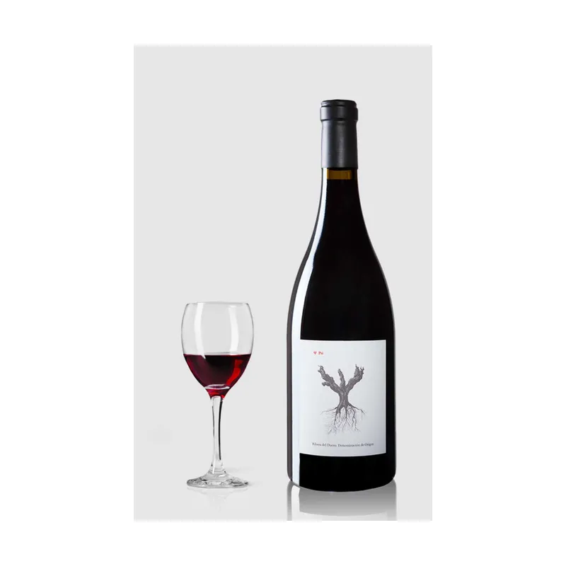 PSI 2021 Ribera Del Duero, Peter Sisseck – Dominio De Pingus