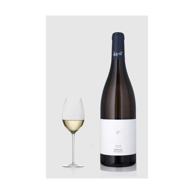 Geils Chardonnay Dalsheim 2023 Trocken Weingut Geils – Weingut Geils