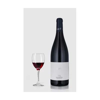 Frühwerk Spätburgunder Weingut Geils 2022 – Weingut Geils