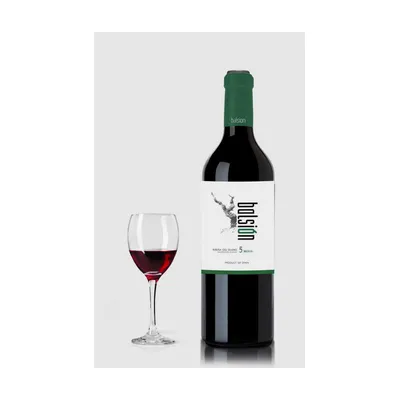 Balsion 5 Meses 2021, Ribera del Duero – Bodegas Resalte