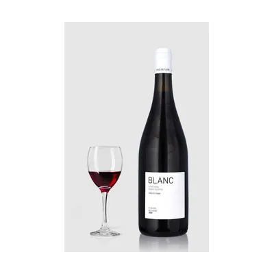 Blanc VI Naturel Negre ØKO Vins Petxina 2022 – Vins Petxina
