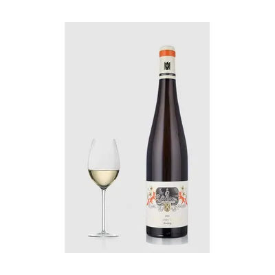 Dürkheimer Spielberg ØKO Riesling Trocken 2023 – Dürkheimer Spielberg