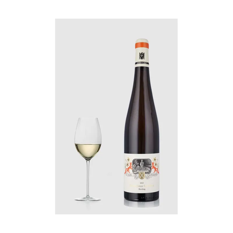 Dürkheimer Spielberg ØKO Riesling Trocken 2023 – Dürkheimer Spielberg