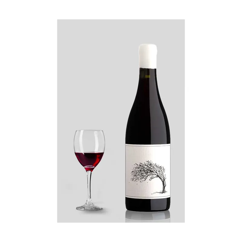Savage The Girl Next Door Syrah 2024