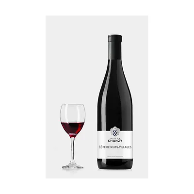 Domaine Chanzy Cote De Nuits Villages 2017 – Domaine Chanzy