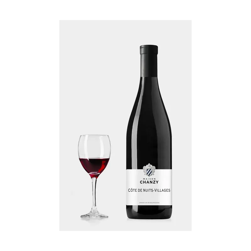 Domaine Chanzy Cote De Nuits Villages 2017 – Domaine Chanzy