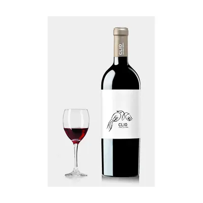 Bodegas El Nido 'Clio' 2022 Magnum – Bodegas El Nido