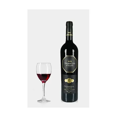 Trabucchi d'illasi Valpolicella Superiore Terra del Cereolo 2016 – Trabucchi d`Illasi