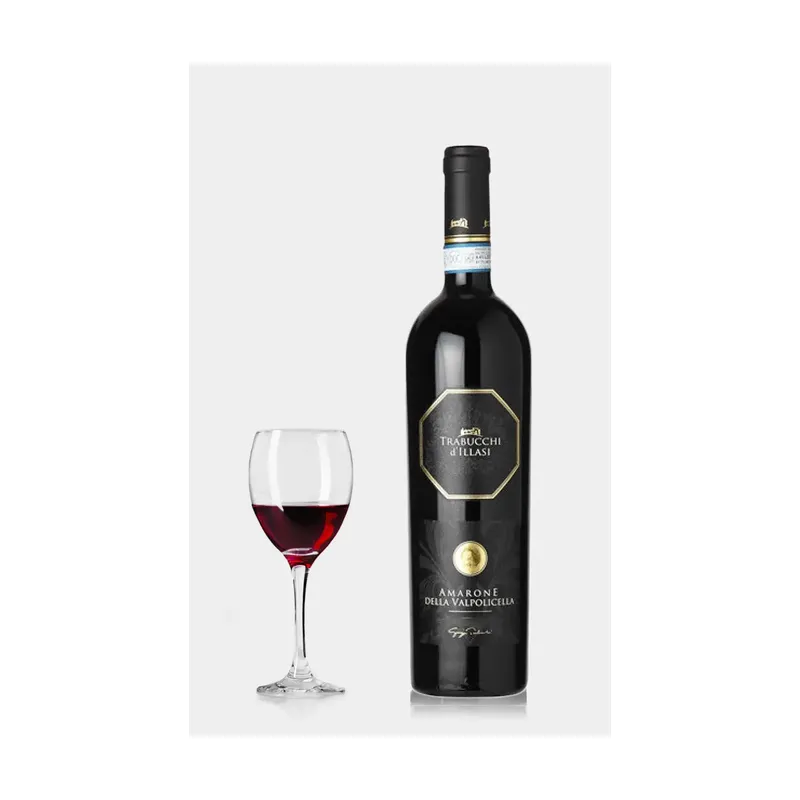 Trabucchi d'illasi Amarone della Valpolicella 2012 – Trabucchi d`Illasi