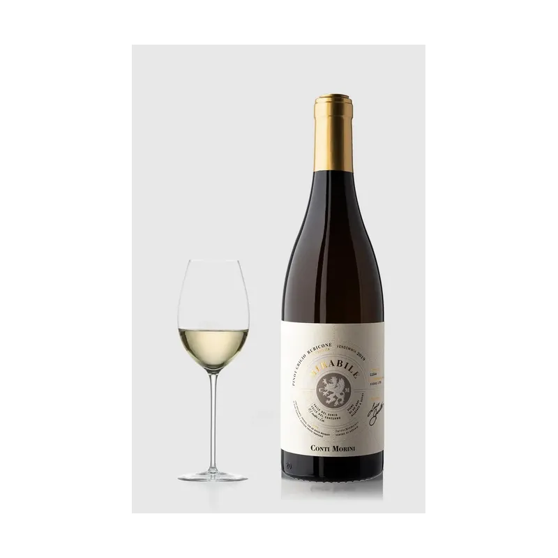 Conti Morini Mirabile Pinot Grigio 2024 – Conti Morini