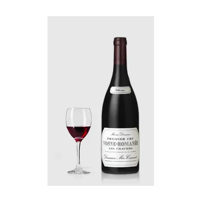 Domaine Méo-Camuzet Vosne-Romanée 1. Cru Les Chaumes 2022 – Domaine Méo-Camuzet