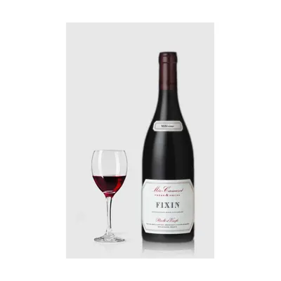 Domaine Méo-Camuzet Fixin 2023 – Domaine Méo-Camuzet