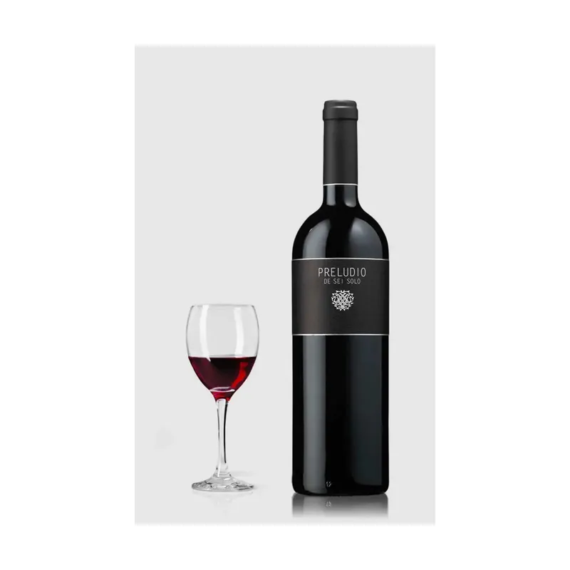 Sei Solo Preludio Ribera Del Duero 2021 – Sei Solo