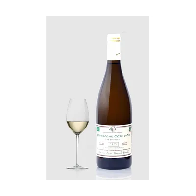 Burgundy Côte d'Or white "Les Equinces" 2023 – Domaine Jean-Pierre Maldant