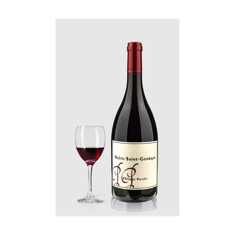 Philippe Pacalet Nuits St Georges 2023