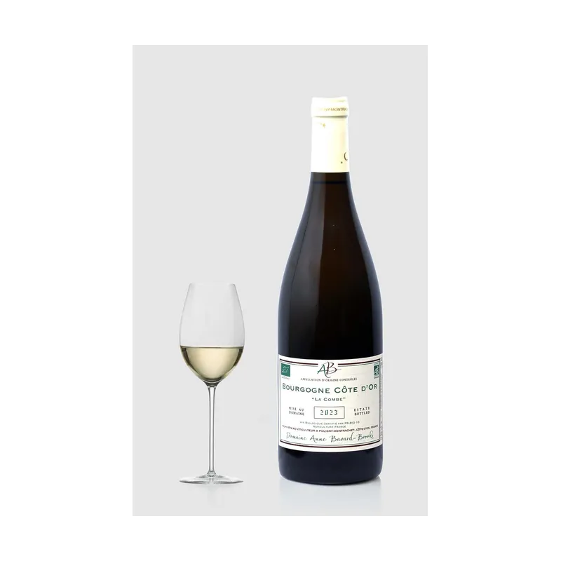 Bourgogne Côte d'Or Blanc "La Combe" 2023 – Bavard Brooks