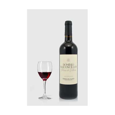 Dominio Basconcillos Vina Magna Finca de Altura 2024 – Dominio Basconcillos