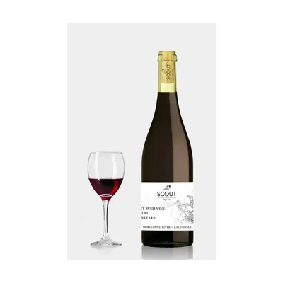 Ancient bush vine Zinfandel Mokelumne River Scout 2023 – Ling estate vineyard