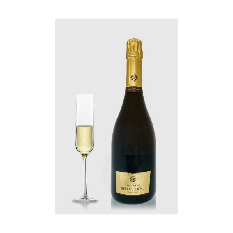 Paul Sadi Champagne Bellus Mons 2017 – Paul Sadi