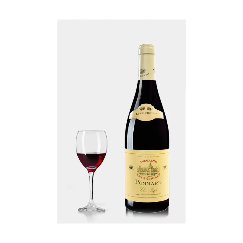 Lupé-Cholet Pommard Clos Bizot 2017 – Domaine Lupé-Cholet