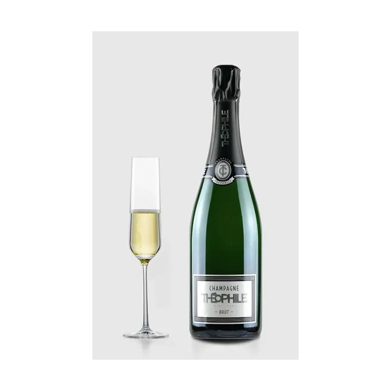 Champagne Theophile Brut - Louis Roederer – Louis Roederer