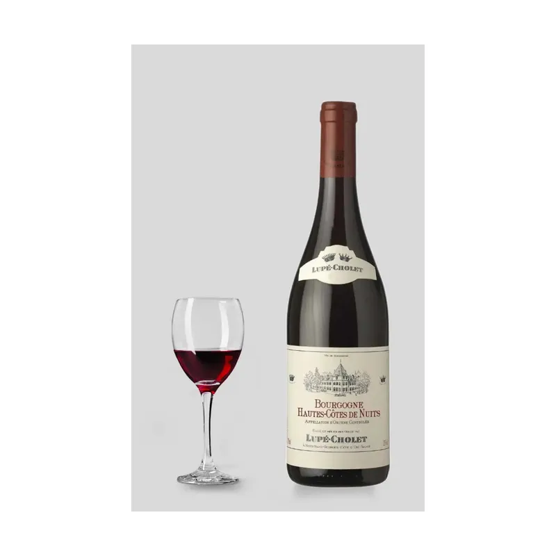 Lupé-Cholet Bourgogne Hautes-Côtes de Nuits 2020 – Lupe-Cholet