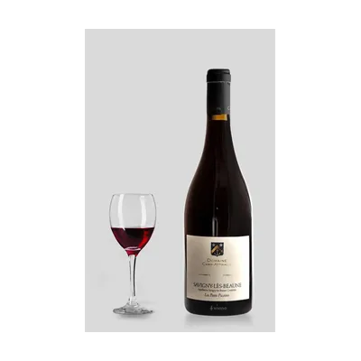 Domaine Camp-Atthalin Savigny-lès-Beaune 'Les Petits Picotins' 2020 – Domaine Camp-Atthalin