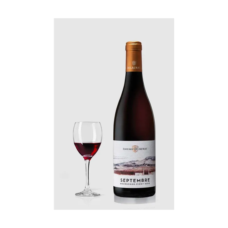 Edouard Delaunay Bourgogne Pinot Noir Septembre 2022 – Edouard Delaunay