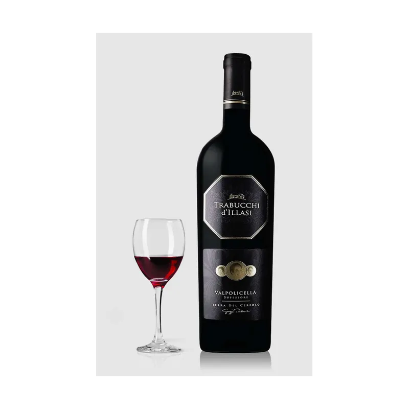 Trabucchi d'illasi Valpolicella Superiore Terra del Cereolo 2014 MAGNUM