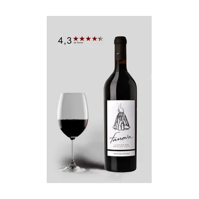 Terrecarsiche 1939 Fanova Primitivo 2020 – Terrecarsiche 1939
