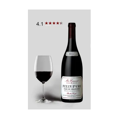 Fixin 1er Cru Clos Du Chapitre Domaine Méo-Camuzet 2021 – Domaine Méo-Camuzet