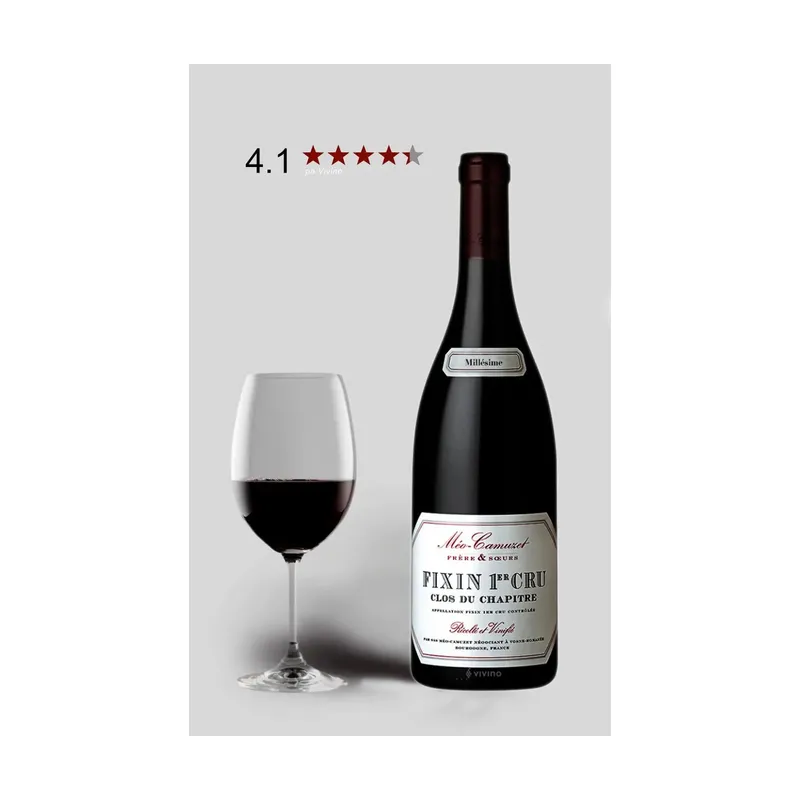Fixin 1er Cru Clos Du Chapitre Domaine Méo-Camuzet 2021 – Domaine Méo-Camuzet
