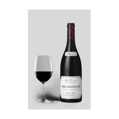 Cote D´or Cuvee Hemisphere Nord, Domaine Méo-Camuzet 2021 – Domaine Méo-Camuzet