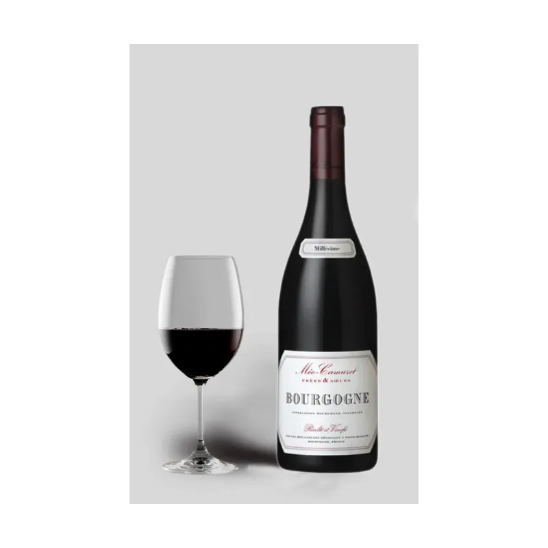 Cote D´or Cuvee Hemisphere Nord, Domaine Méo-Camuzet 2021 – Domaine Méo-Camuzet