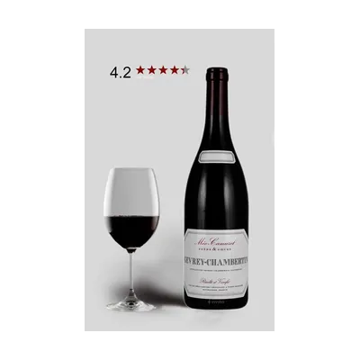 Méo-Camuzet Gevrey-Chambertin 2021 – Domaine Méo-Camuzet