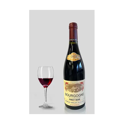 Bourgogne Pinot Noir 2022 Domaine Charles Noëllat – Domaine Charles Noëllat