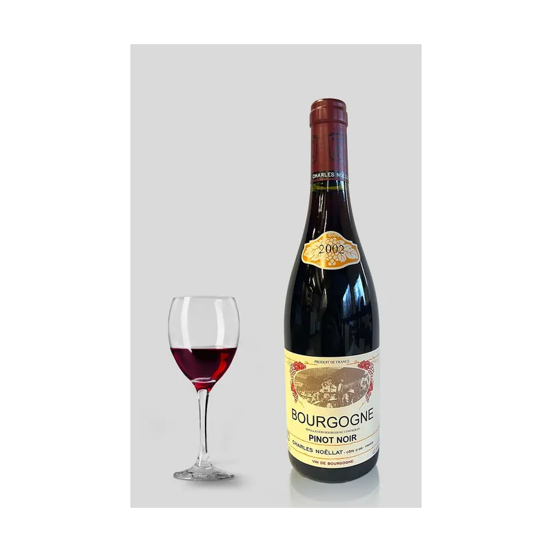 Bourgogne Pinot Noir 2002  Domaine Charles Noëllat