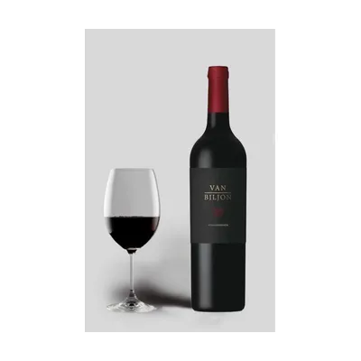 Van Biljon Cinq 2018 – Van Biljon