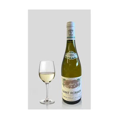 Saint-Romain 2023 Blanc Maison Charles Noëllat – Maison Charles Noëllat
