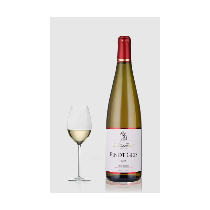 Pinot Gris Alsace Hubert Beck 2024 – Hubert Beck