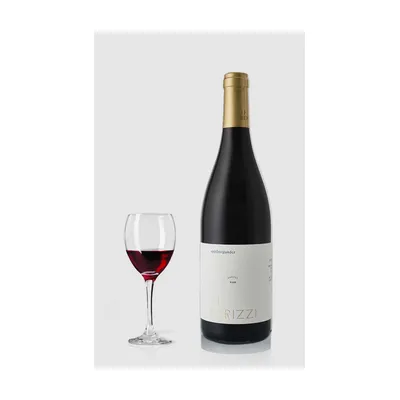 J.J Berizzi Spatburgunder 2024 – Weingut Geils